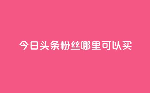 今日头条粉丝哪里可以买 - 今日头条粉丝购买渠道探秘~  第1张
