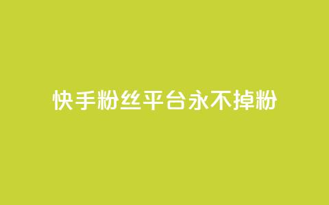 快手粉丝平台+永不掉粉,哔哩哔哩自助平台 - 斗音刷讚在线24 快手在线自助业务平台  第1张