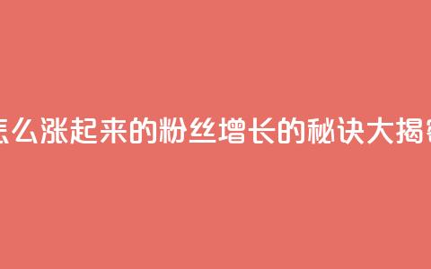 粉丝是怎么涨起来的(粉丝增长的秘诀大揭密)  第1张