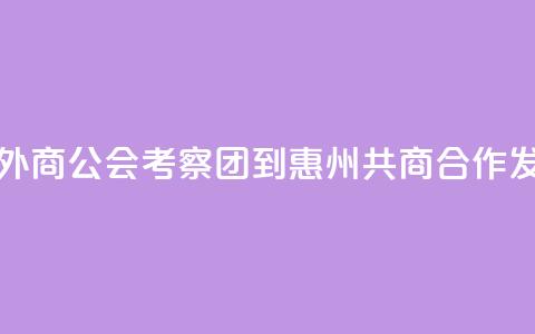 香港广东外商公会考察团到惠州共商合作发展  第1张