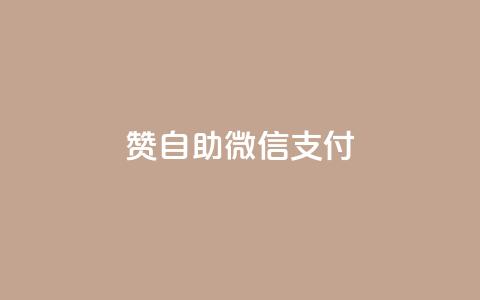Ks赞自助微信支付 - 使用微信支付的Ks赞自助服务,简单方便!~ 第1张 Ks赞自助微信支付 - 使用微信支付的Ks赞自助服务,简单方便!~ 第1张