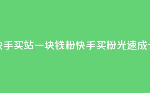 快手买站一块钱1000粉(快手买粉光速成长)  第1张