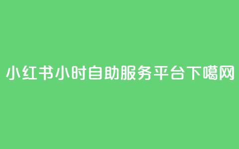 小红书24小时自助服务平台  第1张