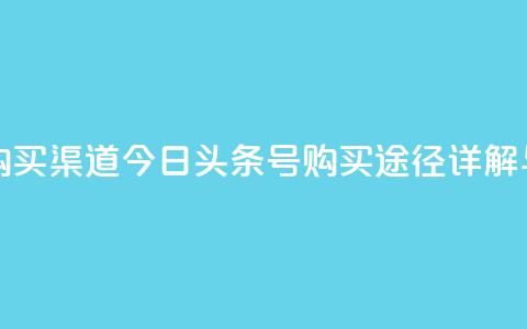 今日头条号购买渠道 - 今日头条号购买途径详解与指南！  第1张
