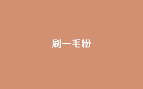ks刷一毛1000粉 - 快速增粉：ks每刷千毛迎来1000新粉~  第1张