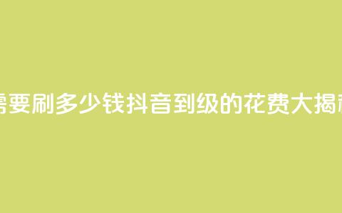 抖音1-60级需要刷多少钱 - 抖音1到60级的花费大揭秘~  第1张
