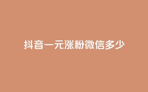 抖音一元涨粉1000微信多少 - 抖音一元涨粉1000,微信粉丝量将增加多少?! 第1张 抖音一元涨粉1000微信多少 - 抖音一元涨粉1000,微信粉丝量将增加多少?! 第1张