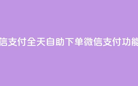 ks全天自助下单微信支付 - ks全天自助下单微信支付功能全面升级!  第1张
