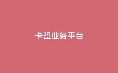 卡盟业务平台 - 全网辅助发卡网  第1张