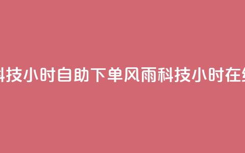 风雨科技24小时自助下单(风雨科技24小时在线下单)  第1张