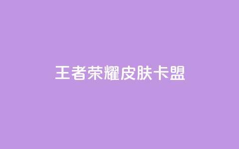 王者荣耀皮肤卡盟 - 王者荣耀皮肤卡盟：充值成为游戏强者~  第1张
