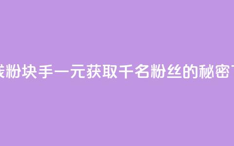 一块钱1000粉块手(一元获取千名粉丝的秘密) 第1张 一块钱1000粉块手(一元获取千名粉丝的秘密) 第1张
