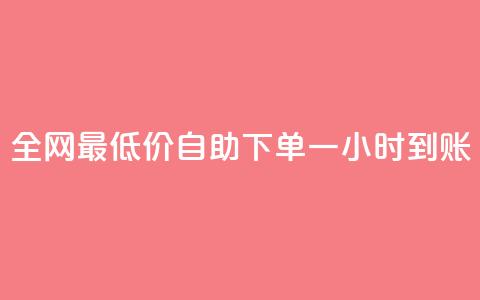 全网最低价：自助下单一小时到账  第1张