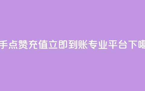 快手点赞充值立即到账专业平台  第1张