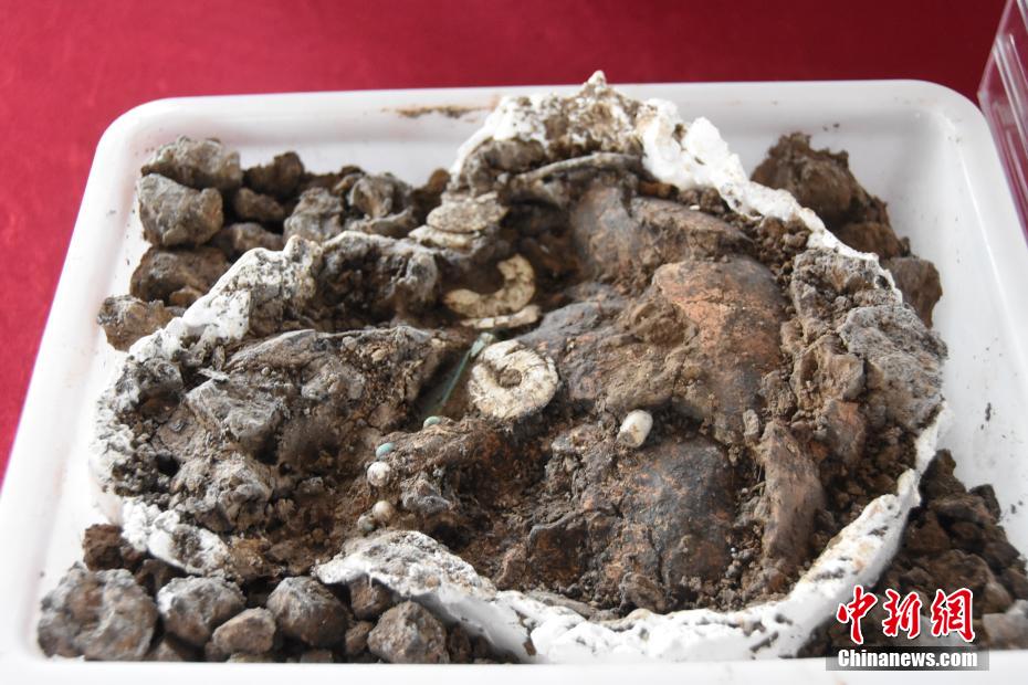 【何以中国 行走河南】走进河南永城王庄遗址  感受5000年前大汶口文化聚落的礼制内涵 第2张