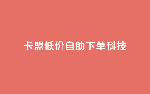 卡盟低价自助下单科技 - 卡盟提供便捷低价自助下单服务~  第1张