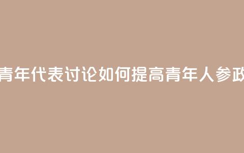 多国青年代表讨论如何提高青年人参政意愿  第1张