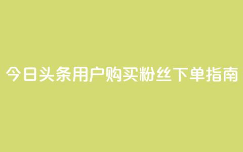 今日头条用户购买粉丝下单指南 第1张 今日头条用户购买粉丝下单指南 第1张