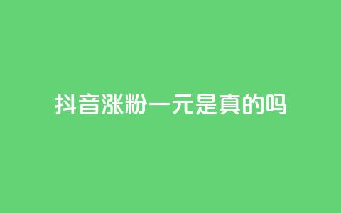 抖音涨粉一元是真的吗 - 抖音涨粉一元是否靠谱?有哪些值得注意的地方~ 第1张 抖音涨粉一元是真的吗 - 抖音涨粉一元是否靠谱?有哪些值得注意的地方~ 第1张