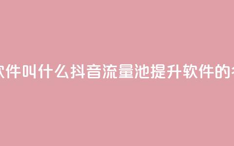 抖音涨流量池的软件叫什么 - 抖音流量池提升软件的名称是什么 !  第1张