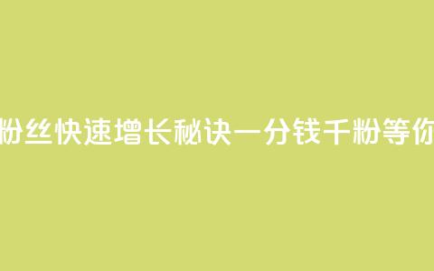 抖音粉丝快速增长秘诀，一分钱千粉等你来抢  第1张