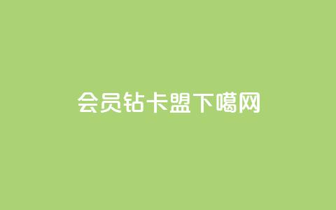 QQ会员钻卡盟  第1张