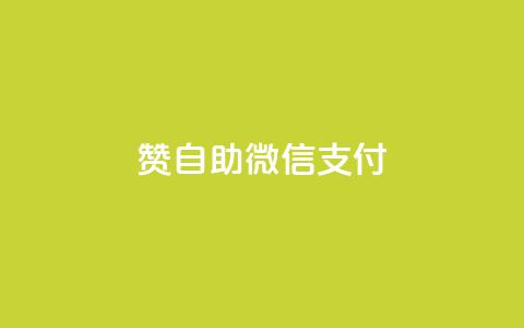 Ks赞自助微信支付,快手免费刷欢击软件 - 小红书24自助平台 粉丝交易平台哪里有  第1张