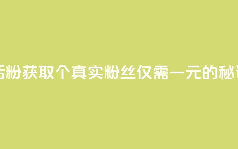 粉丝一元1000个活粉 - 获取1000个真实粉丝仅需一元的秘诀分享~  第1张