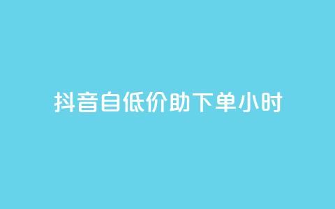 抖音自低价助下单24小时,抖音自动评论软件手机版 - 卡盟平台qq业务qq音乐会员 抖音怎样快速吸粉  第1张