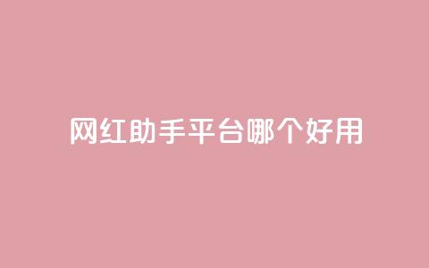 网红助手平台哪个好用,快手全网最低价下单平台 - dy免费24小时下单网站最新版 抖音业务代理平台  第1张