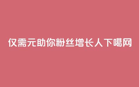 仅需1元助你粉丝增长1000人 第1张 仅需1元助你粉丝增长1000人 第1张