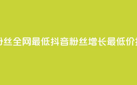 抖音24小时粉丝全网最低(抖音粉丝增长最低价揭秘)  第1张