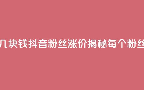 抖音涨一个粉丝几块钱 - 抖音粉丝涨价揭秘：每个粉丝值多少钱~  第1张