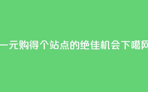 一元购得100个ks站点的绝佳机会  第1张