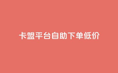 卡盟平台自助下单低价,24小时自助业务下单超稳定 - 如何获得1000粉丝 qq访客量增加网站免费  第1张
