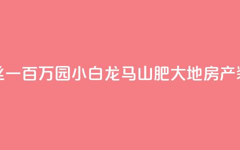 快手粉丝一百万0.01园小白龙马山肥大地房产装修网站,直播间人气协议网站 - 抖音低价业务全网最低 抖音点赞极速到账  第1张