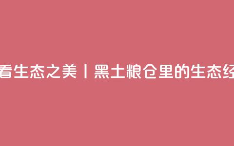 看生态之美丨黑土粮仓里的生态经 第1张 看生态之美丨黑土粮仓里的生态经 第1张