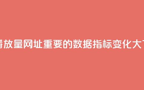 快手播放量网址：重要的数据指标变化大  第1张