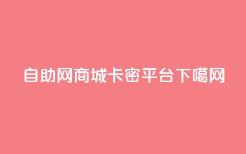 自助网商城卡密平台  第1张