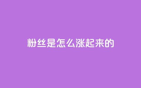 粉丝是怎么涨起来的,qq空间点赞自助 - qq空间说说刷转发数量 qq自助平台全网最低  第1张