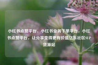 小红书点赞平台，小红书业务下单平台，小红书点赞平台，让分享变得更有价值亿乐社区SUP货源站
