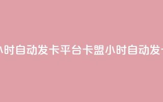 cf卡盟24小时自动发卡平台(CF卡盟24小时自动发卡服务)