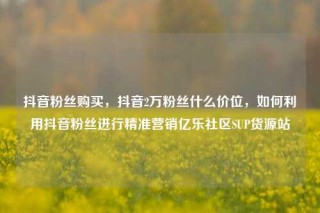 抖音粉丝购买，抖音2万粉丝什么价位，如何利用抖音粉丝进行精准营销亿乐社区SUP货源站