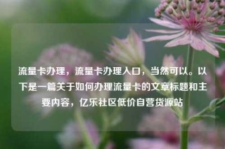 流量卡办理，流量卡办理入口，当然可以。以下是一篇关于如何办理流量卡的文章标题和主要内容，亿乐社区低价自营货源站