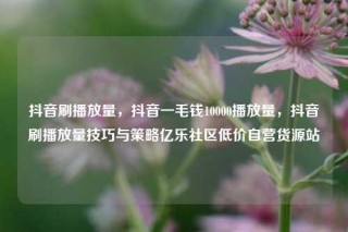 抖音刷播放量，抖音一毛钱10000播放量，抖音刷播放量技巧与策略亿乐社区低价自营货源站