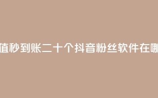 抖音点赞充值秒到账二十个 - 抖音粉丝软件在哪里找