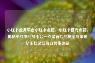 小红书业务平台小红书点赞，小红书官方点赞，揭秘小红书业务平台—点赞背后的秘密与策略亿乐社区低价自营货源站