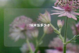 2碗米饭多少卡