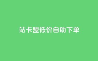 b站卡盟低价自助下单,网红商城在线下单软件 - 网红助手的售后服务 - 1元1000粉 下单平台