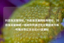 抖音涨流量网站，抖音涨流量网站有哪些，抖音涨流量秘籍—揭秘如何通过优化策略提升账号曝光率亿乐社区SUP货源站